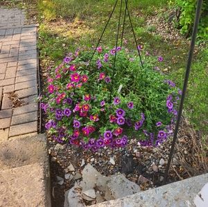 Meet your Posher, Theresa